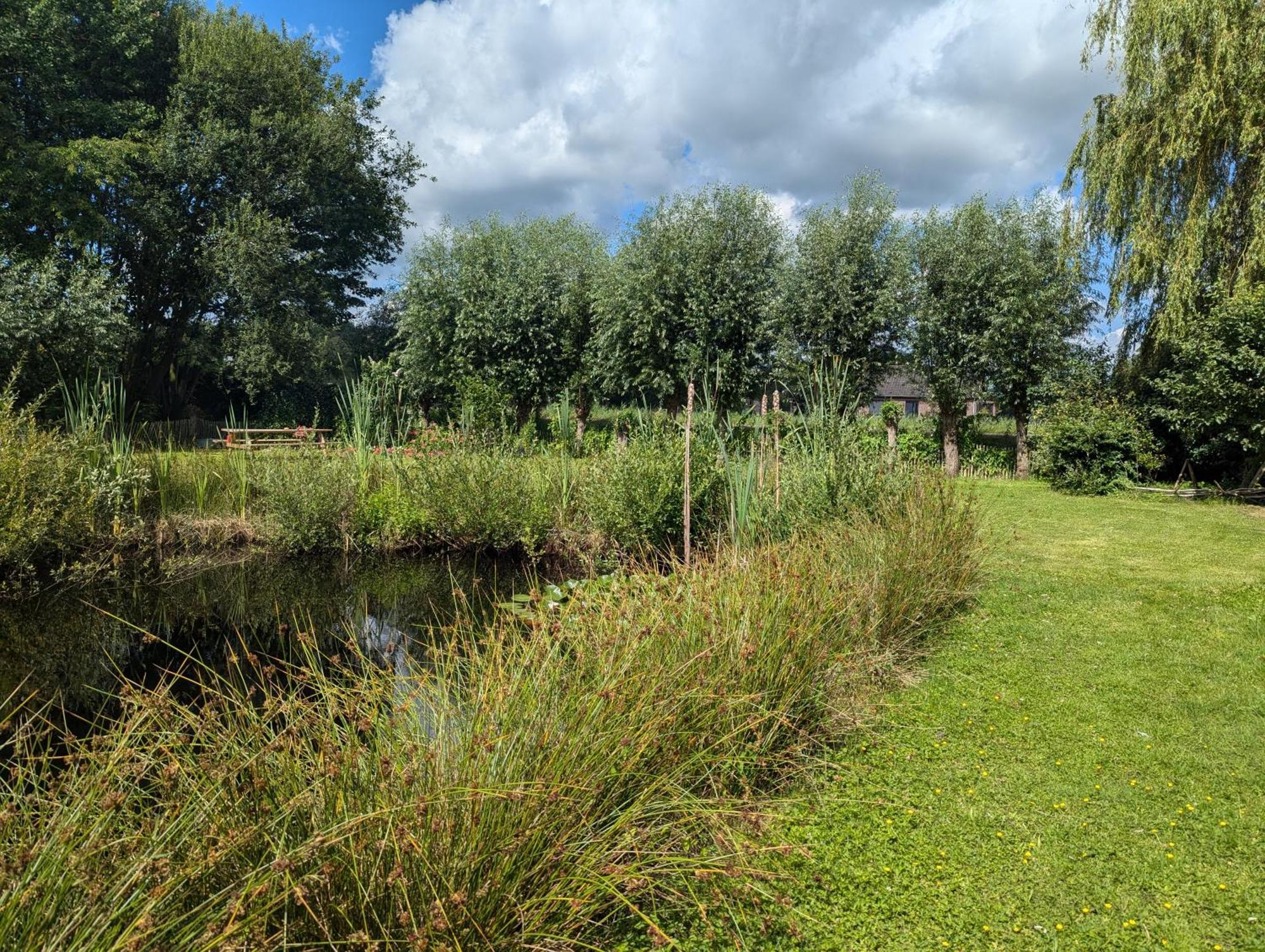 De Pinguin Bergentheim